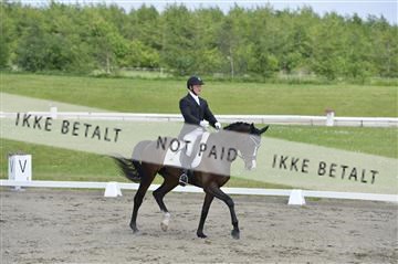 140040_abo_01__AB17100.JPG