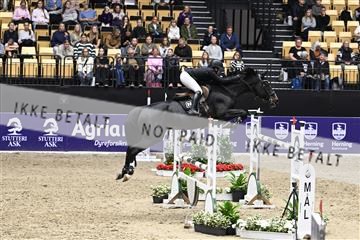 182194_kbb_02_Z099701.JPG