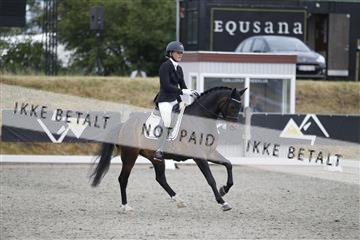166078_rhj_01__J7R4680.JPG