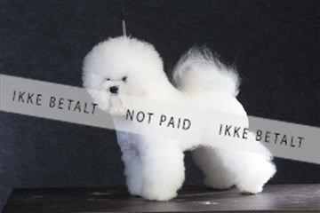 132082_le_ 01_IMG_0183.JPG