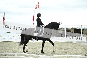 181449_kbb_03_Z091908.JPG