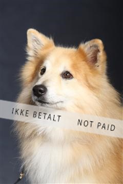 132082_le_ 01_IMG_1048.JPG