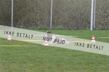 124188 _tl_02_IMG_9484.JPG