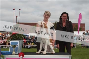 130370_tl_01_IMG_7250.JPG