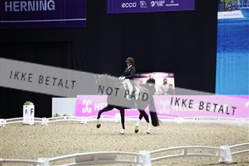 182194_avh_07_4318.JPG