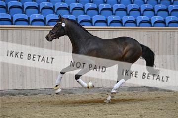 139327_abo_01__AB10327.JPG