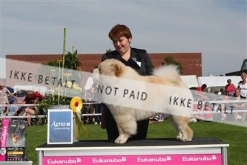 130370_se_02_IMG_6475.JPG
