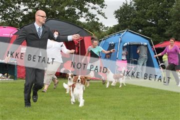 130370_tl_01_IMG_7004.JPG