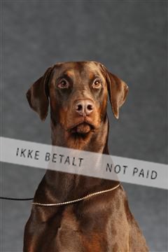 132082_le_ 01_IMG_1353.JPG