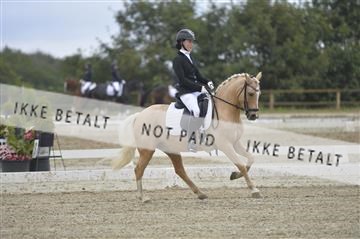 169624_kbb_01__KBB7852.JPG