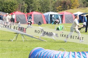 130370_tl_02_IMG_7754.JPG
