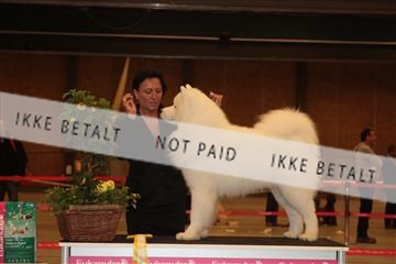 124188 _tl_02_IMG_9318.JPG