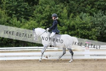 156196_nn_01_IMG_6128.JPG