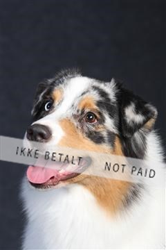 132082_le_ 01_IMG_0258.JPG