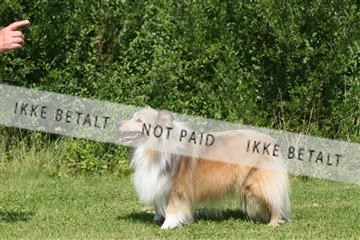 130370_se_02_IMG_6112.JPG