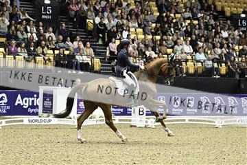 182194_kbb_03_Z091616.JPG