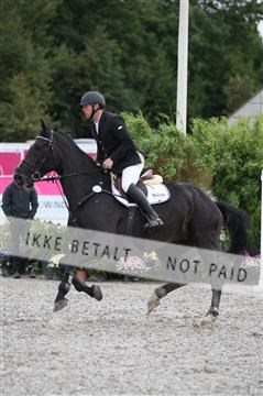 152762_nn _05_IMG_7496.JPG