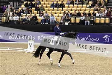 182194_kbb_03_Z091347.JPG