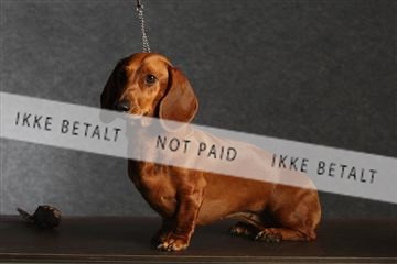 132082_le_ 01_IMG_0304.JPG