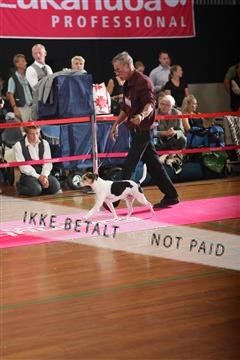 6068_ma_07_IMG_6919.JPG