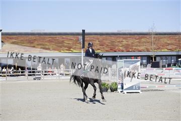 181332_kbb_01_6II4508.JPG