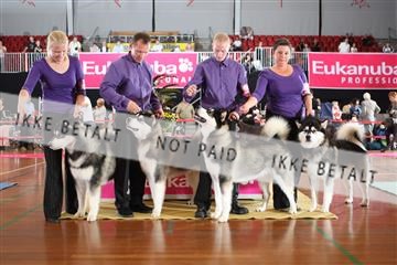 6068_ma_07_IMG_6644.JPG