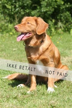 130370_se_03_IMG_7309.JPG