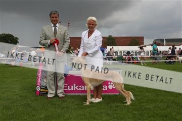 130370_le_02_IMG_8689.JPG