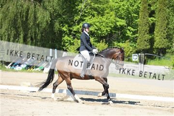 168732_mtp_01_3M5A6222.JPG