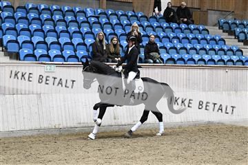 182241_kbb_01_Z095072.JPG