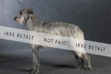 132082_le_ 01_IMG_0851.JPG