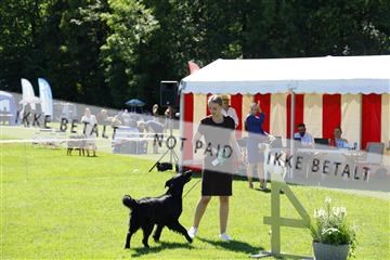 181564_kar_01__62_8504.JPG