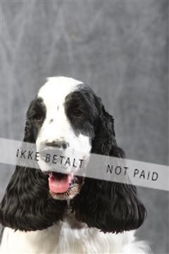 129608_le_ 01_0515.JPG