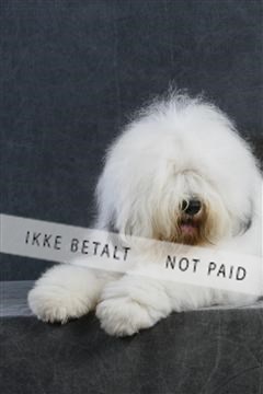 5493_sme _02__MG_9708.JPG