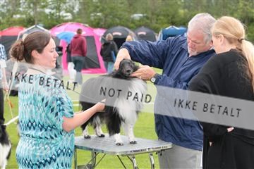 135379_tl_02_IMG_9329.JPG