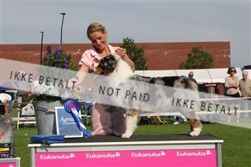 130370_se_02_IMG_6577.JPG