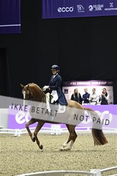 182194_kbb_03_Z091839.JPG
