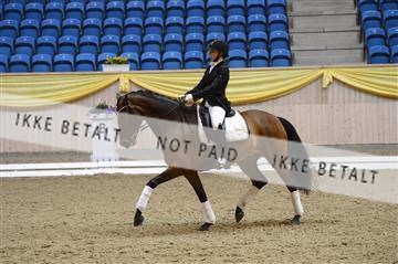 139403_ms_01__MS18776.JPG