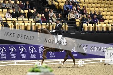 182194_kbb_03_Z090651.JPG