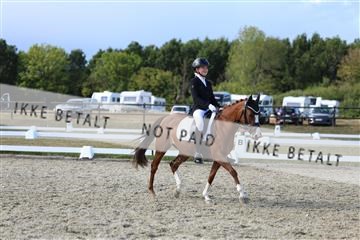 181894_mtp_05_R62_5205.JPG