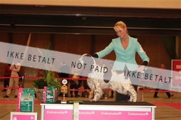 124188 _tl_02_IMG_9731.JPG