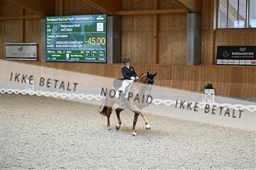182176_kbb_01_Z094518.JPG