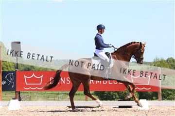 181449_bc_01R62_5649.JPG
