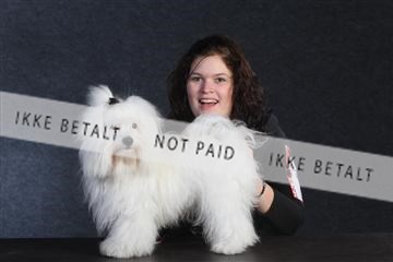 132082_le_ 01_IMG_0290.JPG