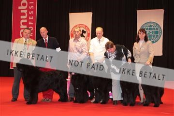 126827_tl_04_IMG_9848.JPG