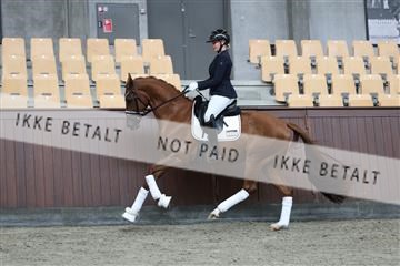 181852_mtp_01_R62_1194.JPG