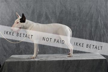 128239_le_kort_ 01_0241.JPG