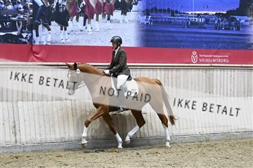 182241_kbb_01_Z095170.JPG