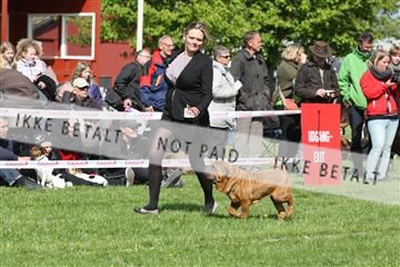 134871_ms_02_IMG_3632.JPG