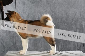 128239_le_ 06_0036.JPG